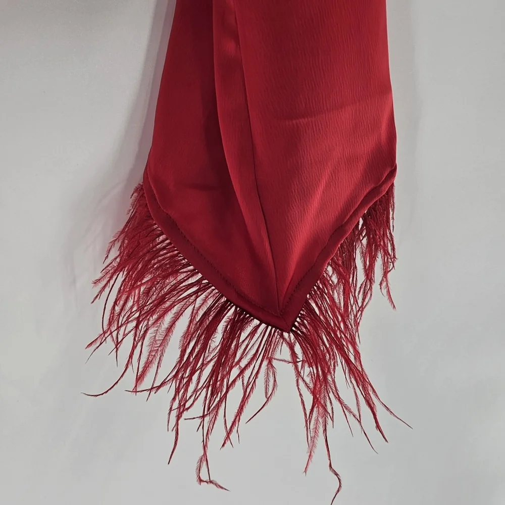 WAYF Red  Long Sleeved Feather-Trim Cropped Satin V-Neck Top Womens Size Small - Picture 7 of 11